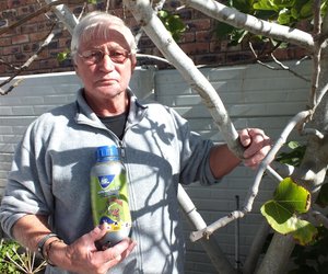 Teenvoeter vir Boorinsek